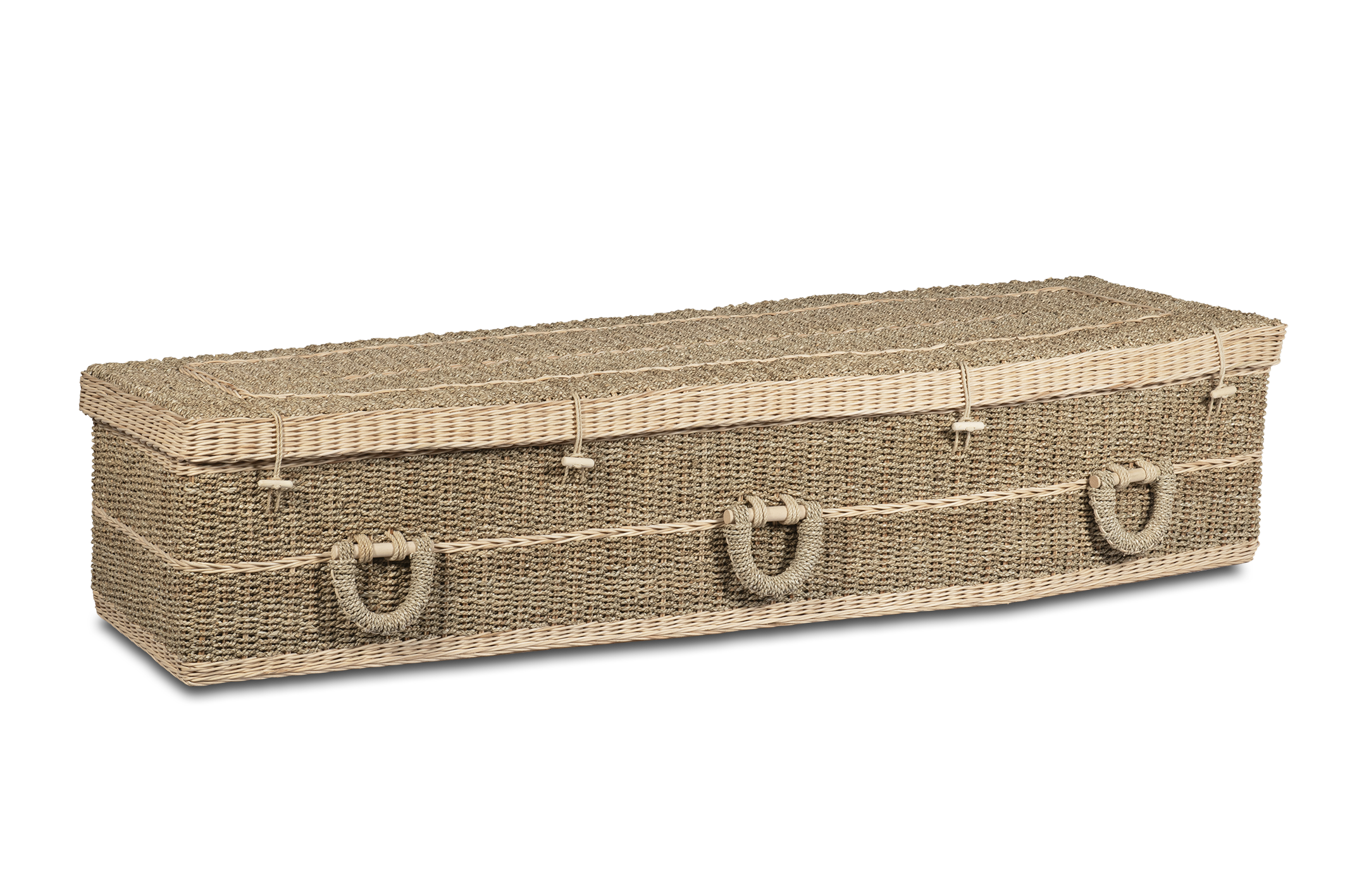 BNC-HT-002