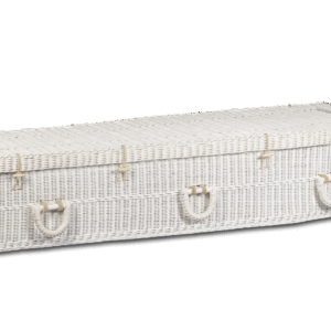BNC-HT-005