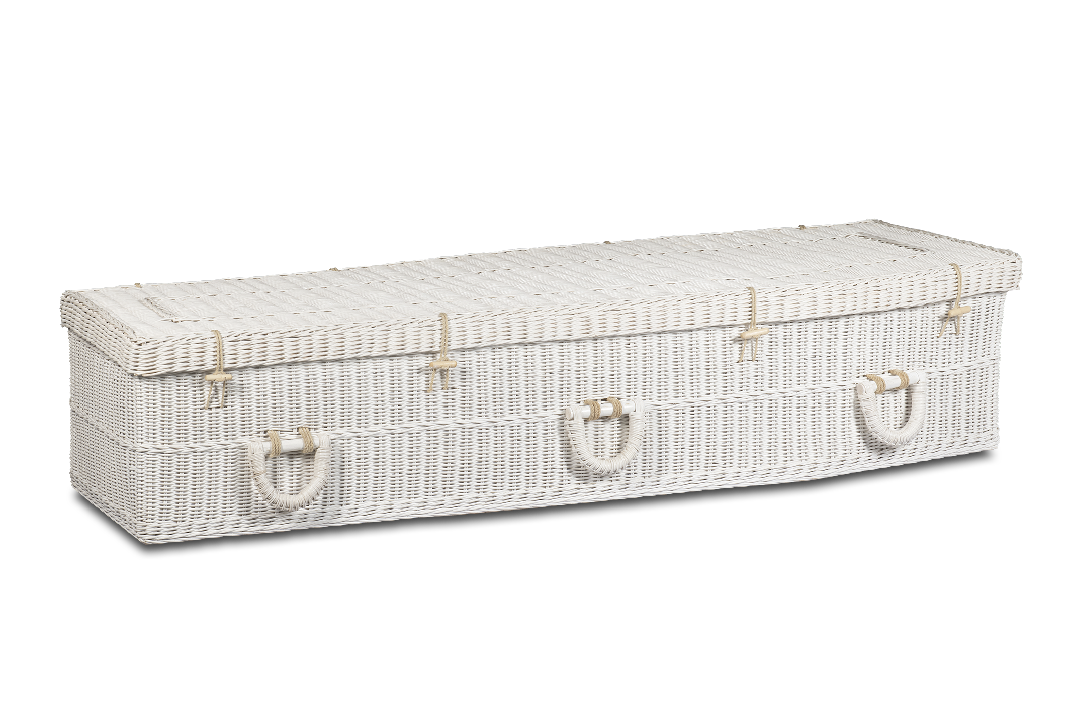 BNC-HT-005