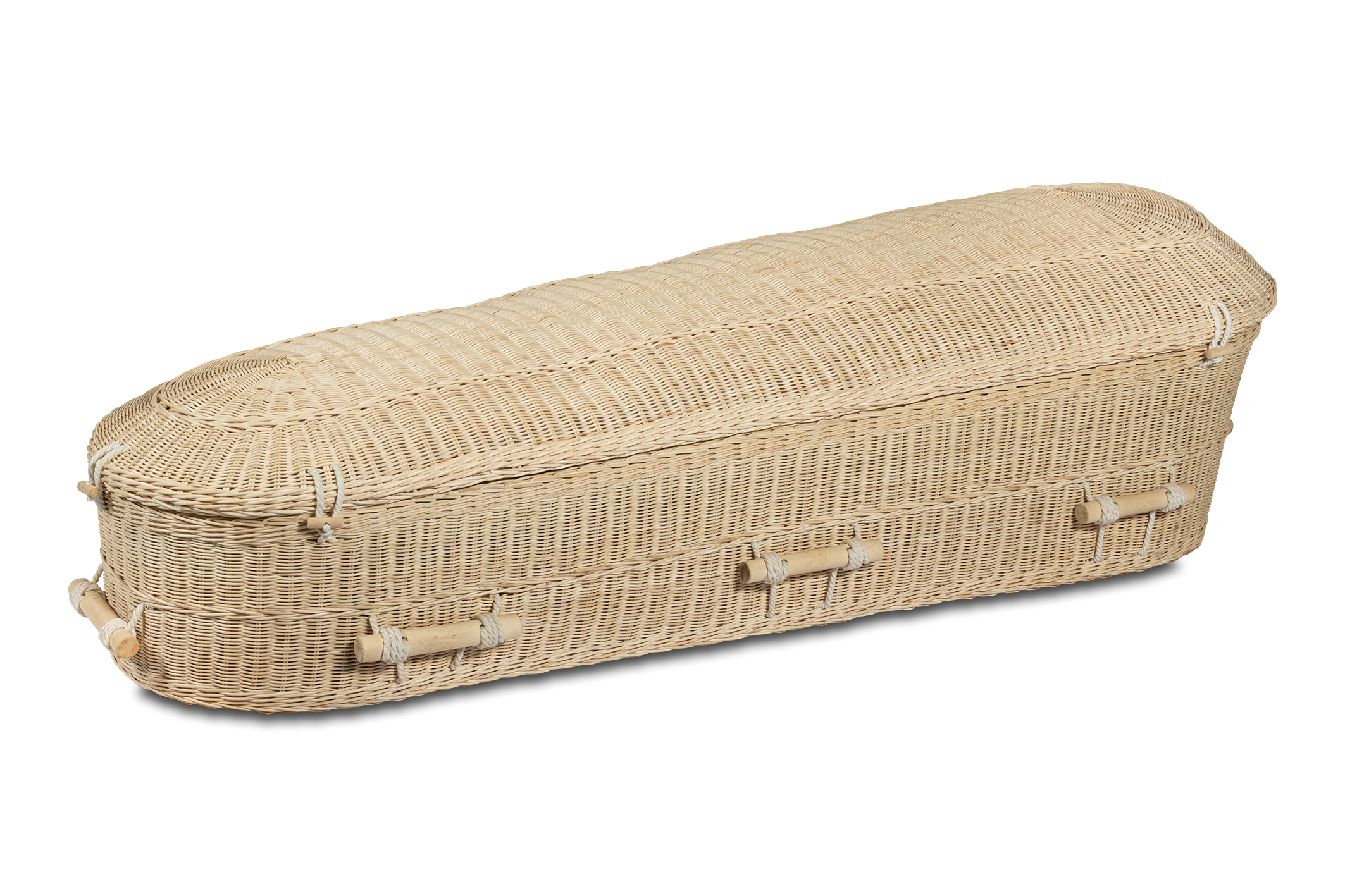 BNC-OB-001