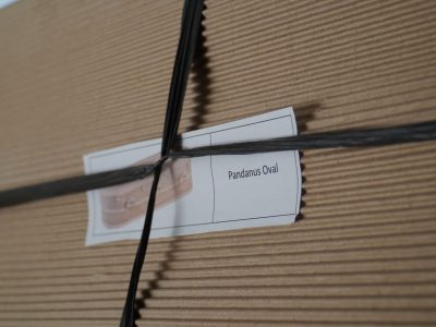 Behind Our Purpose & Craft: The Story of By Nature Coffins